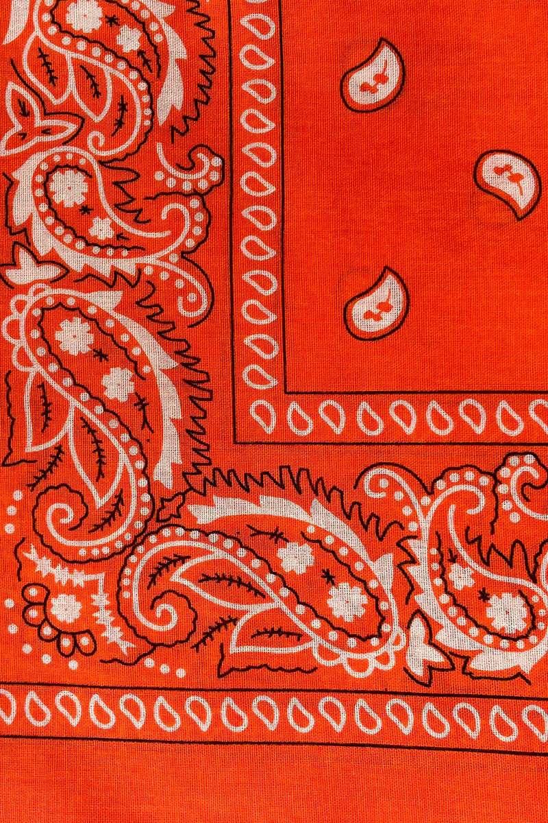 EVERYDAY Filuca Bandana Orange - Image 5
